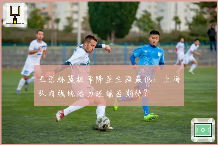 王哲林篮板率降至生涯最低，上海队内线统治力还能否期待？