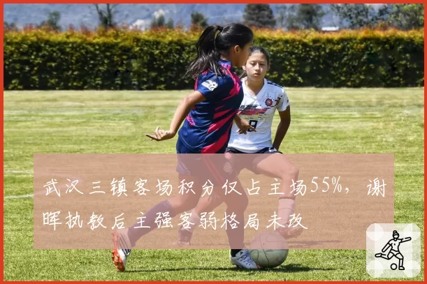 武汉三镇客场积分仅占主场55%，谢晖执教后主强客弱格局未改