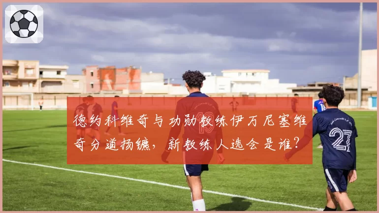 德约科维奇与功勋教练伊万尼塞维奇分道扬镳,新教练人选会是谁?