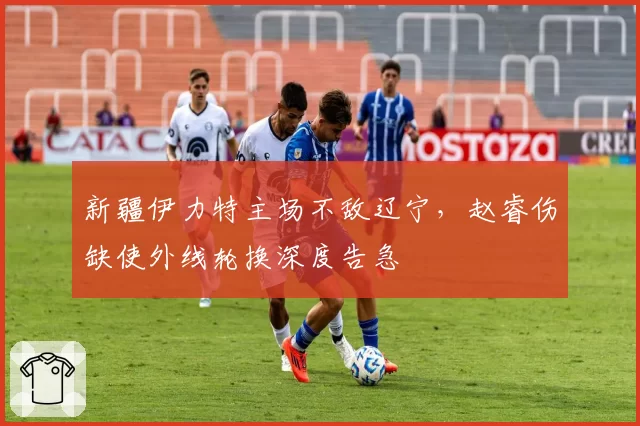 新疆伊力特主场不敌辽宁，赵睿伤缺使外线轮换深度告急