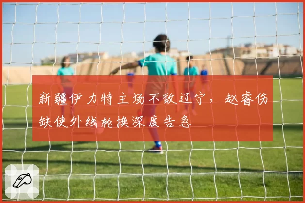 新疆伊力特主场不敌辽宁，赵睿伤缺使外线轮换深度告急