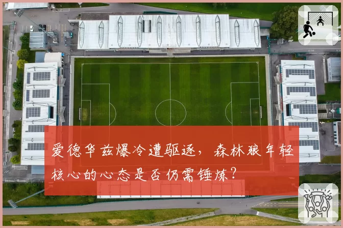 爱德华兹爆冷遭驱逐，森林狼年轻核心的心态是否仍需锤炼？